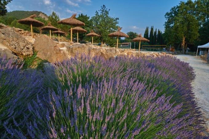 L'Espinet Vacances Quillan Εξωτερικό φωτογραφία